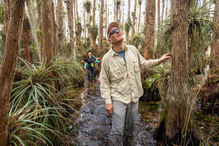 Garl Harrold, a long-time Everglades guide, takes a group through the sawgrass towards a cypress dome in the background. This one is called Movie Dome.  Everglades National Park.