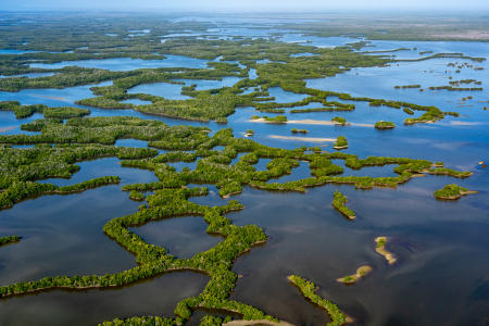 Flyover of the Everglades Park Area.   Mangrove islands in the Ten Thousand Islands area near Chokoloskee.