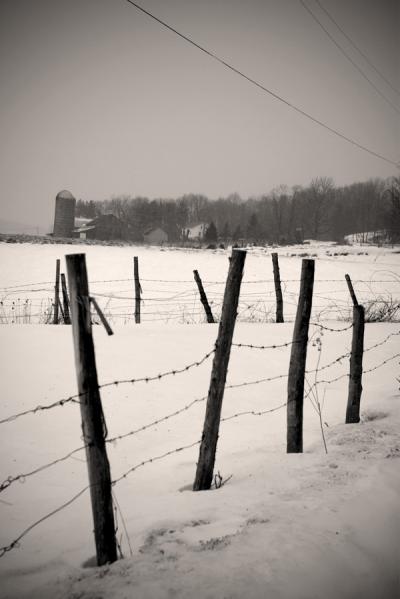 near Hankins, NY