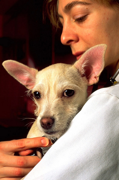 A veterinarian with a patient
Shot for National Geographic World