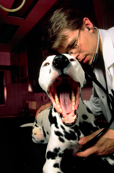 A veterinarian with a patent
Shot for National Geographic World