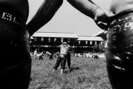 Olive oil wrestling, Edirne, Turkey