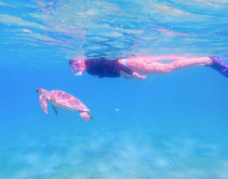 Snorkeling with a green turtle in Bonaire.