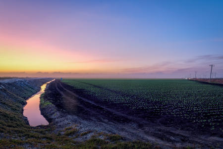 The futile black soil near Lake Okeechobee.  